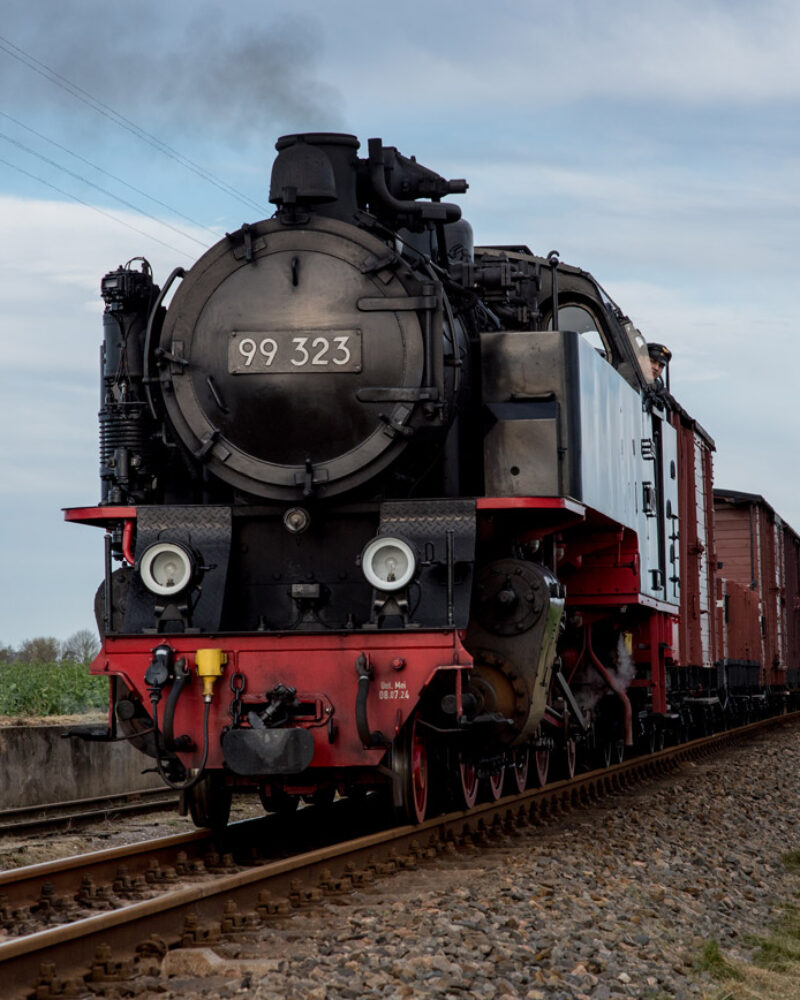 Molli_DSC_4862