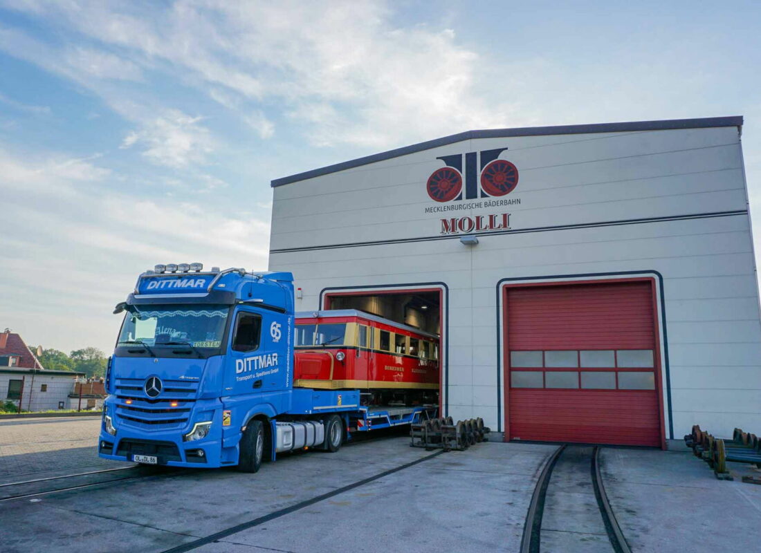 Molli - T1 - 8