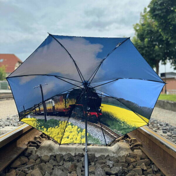 Regenschirm mit Molli-Motiv