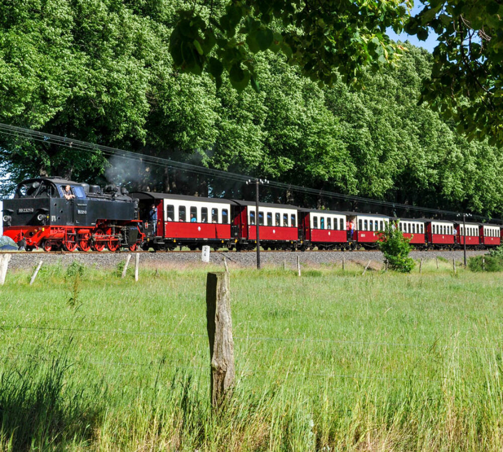 molli-auf-der-strecke-11